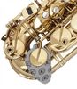 combo-pack-alto-sax-a31-a30-a65s-cpsa--3-.jpg