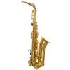 Alphasax---gold-lacquer-for-website-product-page.jpg